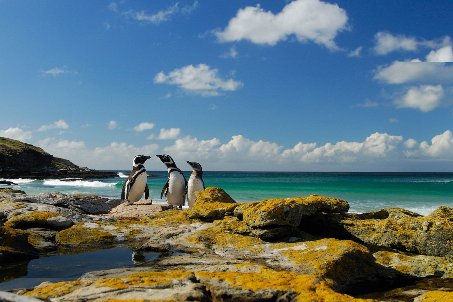 Falkland Islands image