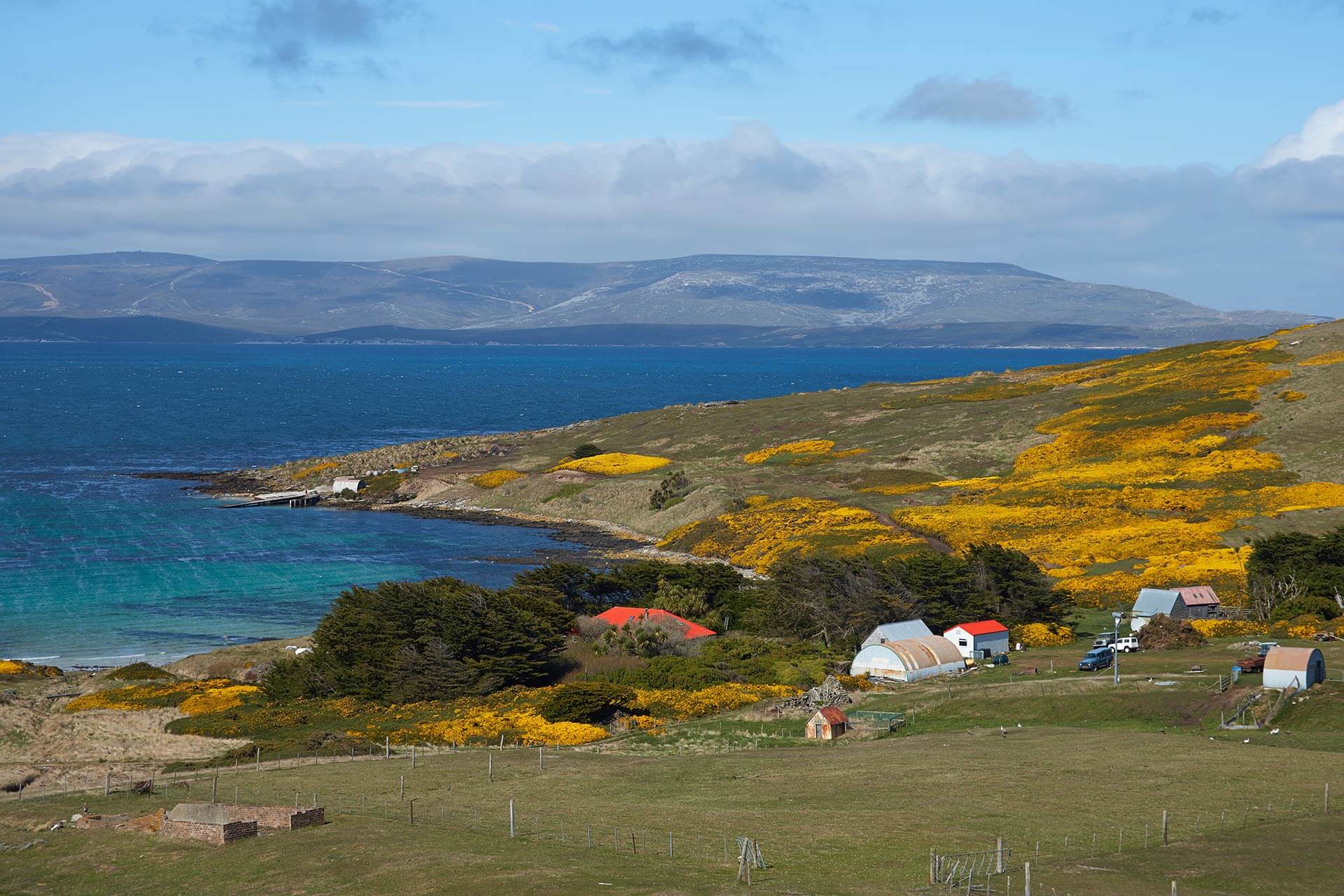 福克兰群岛地点图片