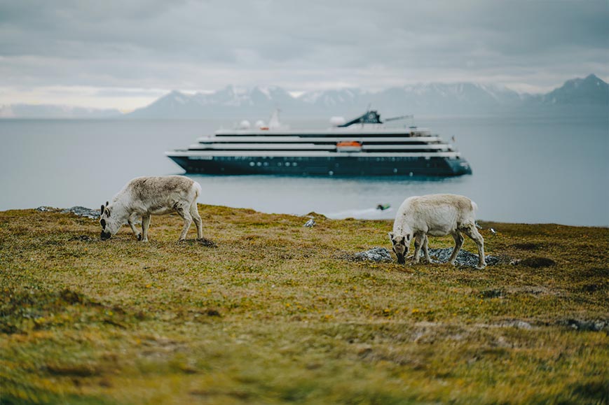 Svalbard,Norway image