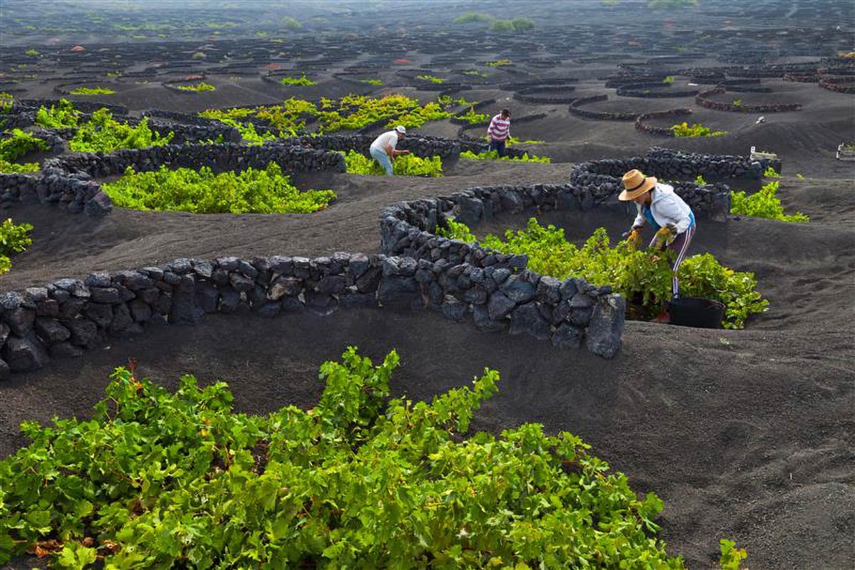 Arrecife (Lanzarote), Canary Islands