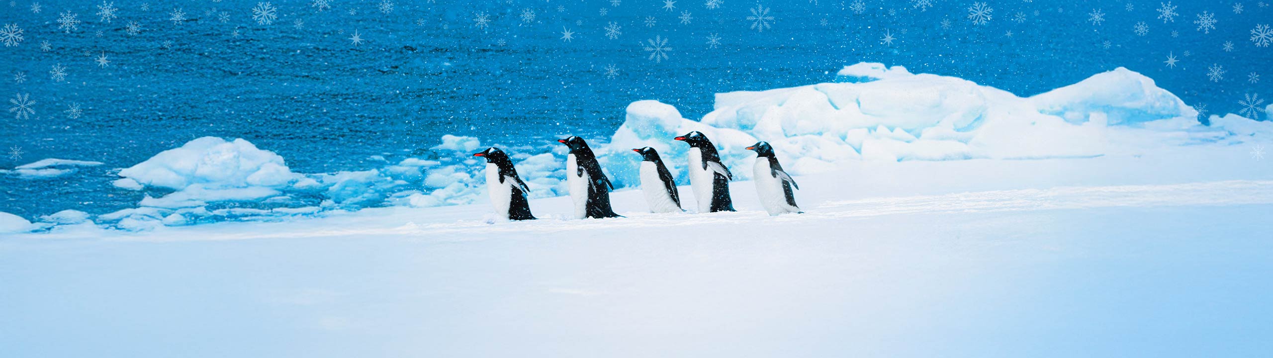 Celebrate the Holidays In Antarctica