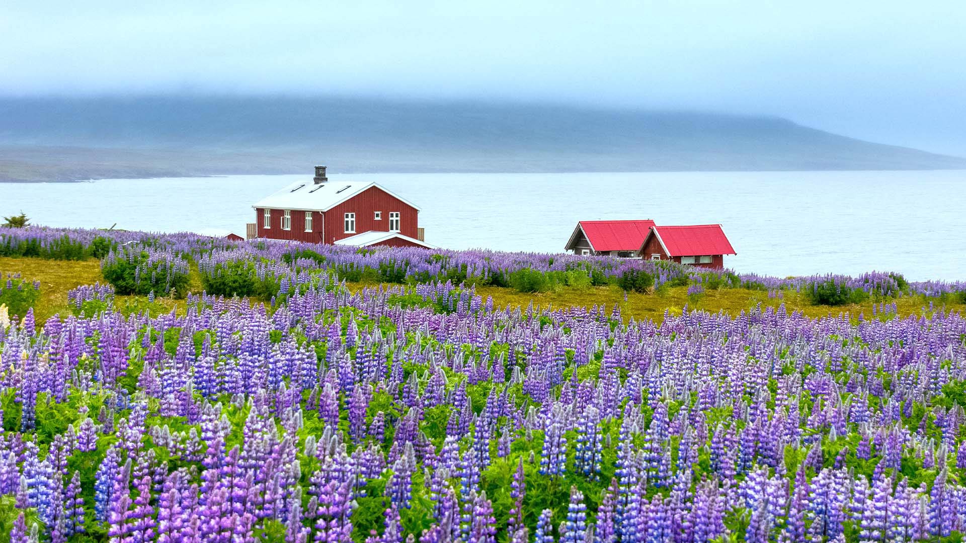 9-Night Bergen to Reykjavik 5.27.27