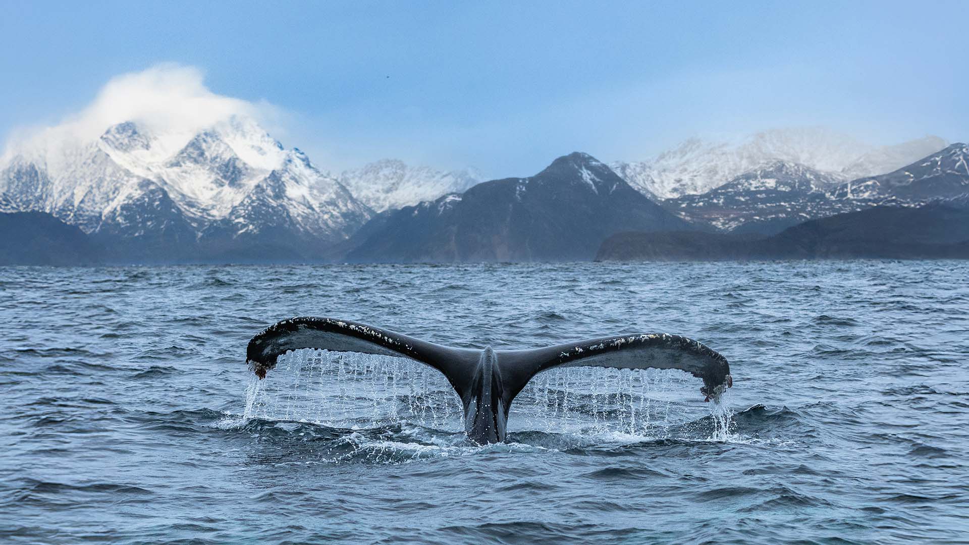 10-Night Reykjavík to Longyearbyen 6.30.27 10-Night Reykjavík to Longyearbyen 6.30.27