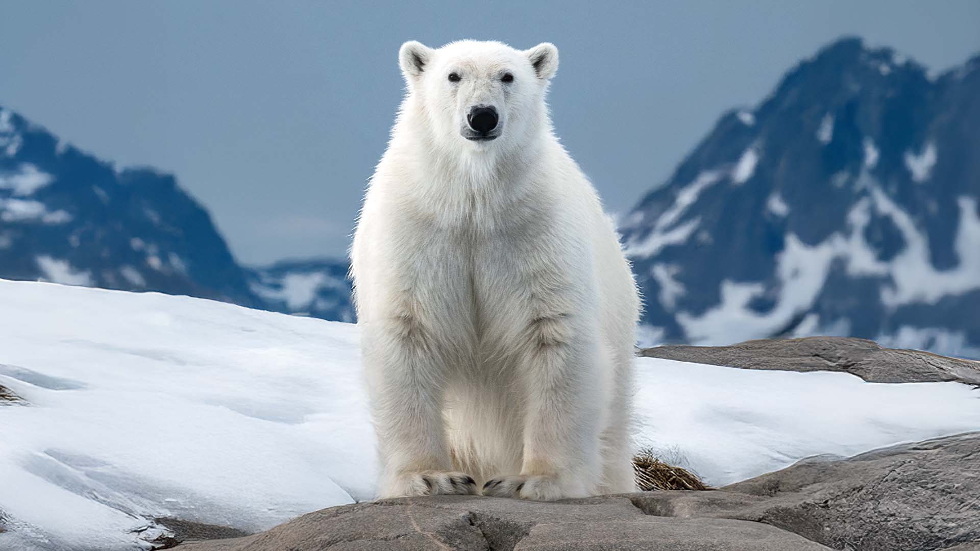 10-Night Longyearbyen to Reykjavík 7.10.27 10-Night Longyearbyen to Reykjavík 7.10.27