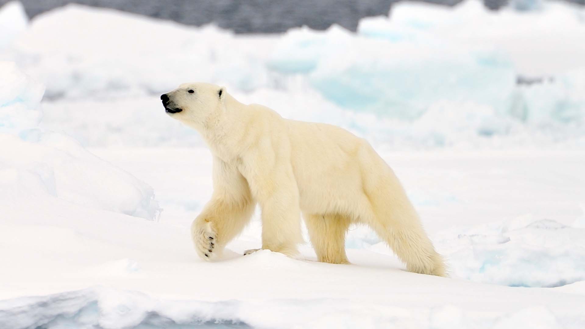 16-Night Nuuk to Churchill 7.30.27 16-Night Nuuk to Churchill 7.30.27