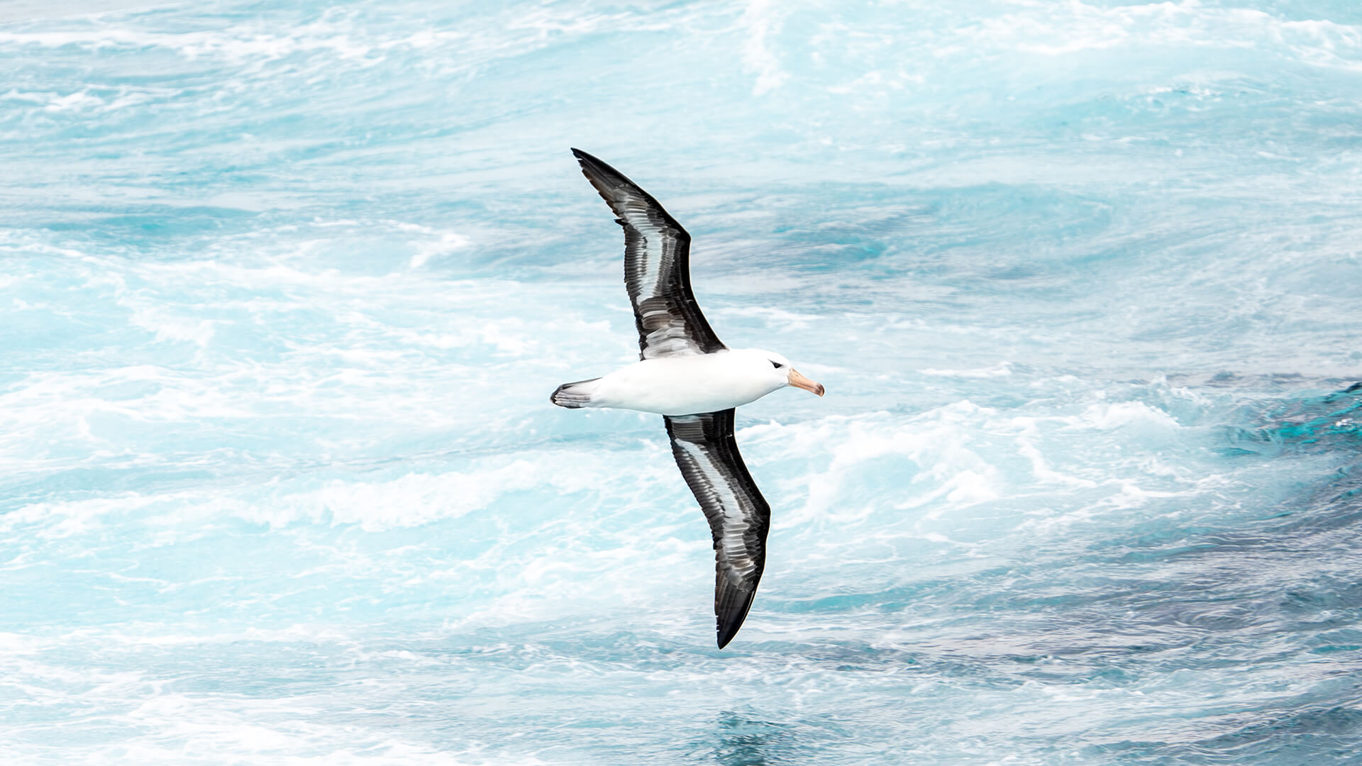 12-Night Ushuaia Roundtrip 10.29.27 12-Night Ushuaia Roundtrip 10.29.27