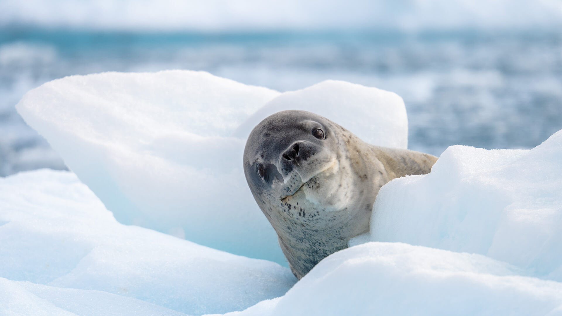 10-Night Ushuaia Roundtrip 1.15.28 10-Night Ushuaia Roundtrip 1.15.28