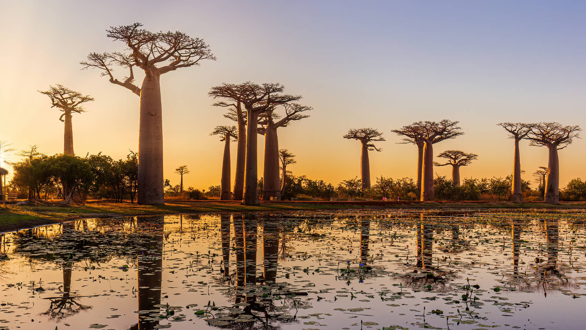 14-Night Mombasa to Cape Town 3.24.29 14-Night Mombasa to Cape Town 3.24.29