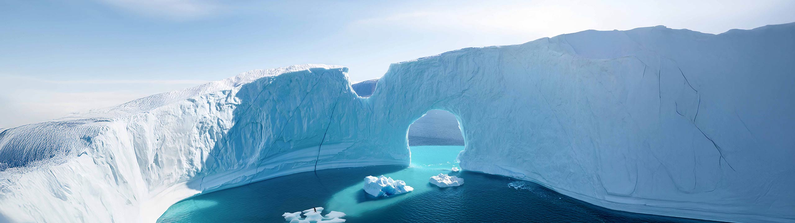 4th of July Antarctica Sale