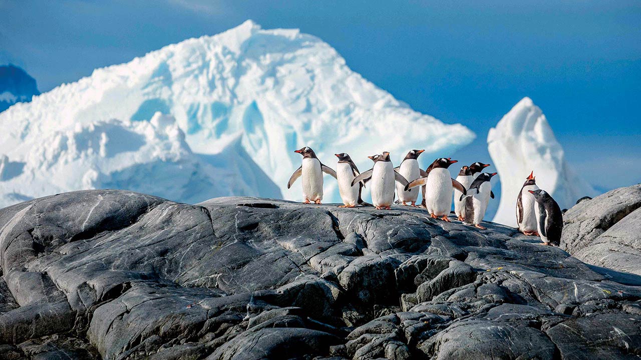 9-Night Ushuaia Roundtrip 9-Night Ushuaia Roundtrip