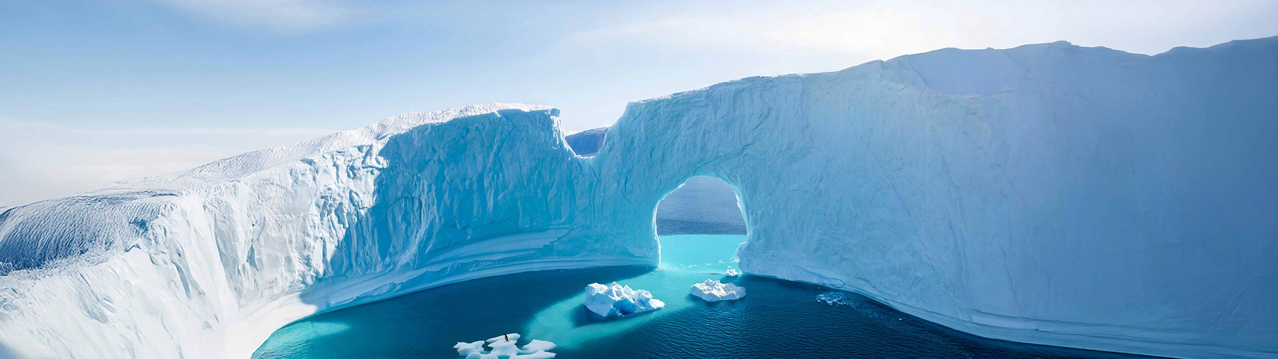 4th of July Antarctica Sale