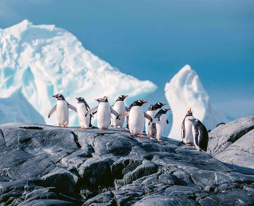 Explorer’s Choice – Polar Expeditions