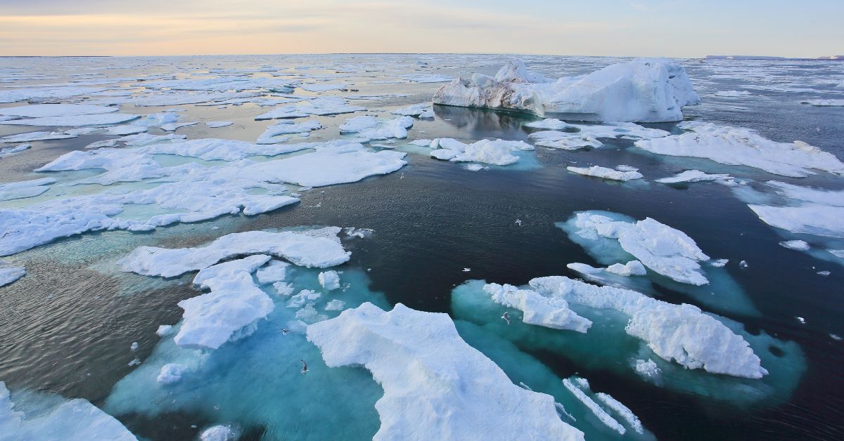 Exploring the High North on a 2026 Luxury Arctic Cruise