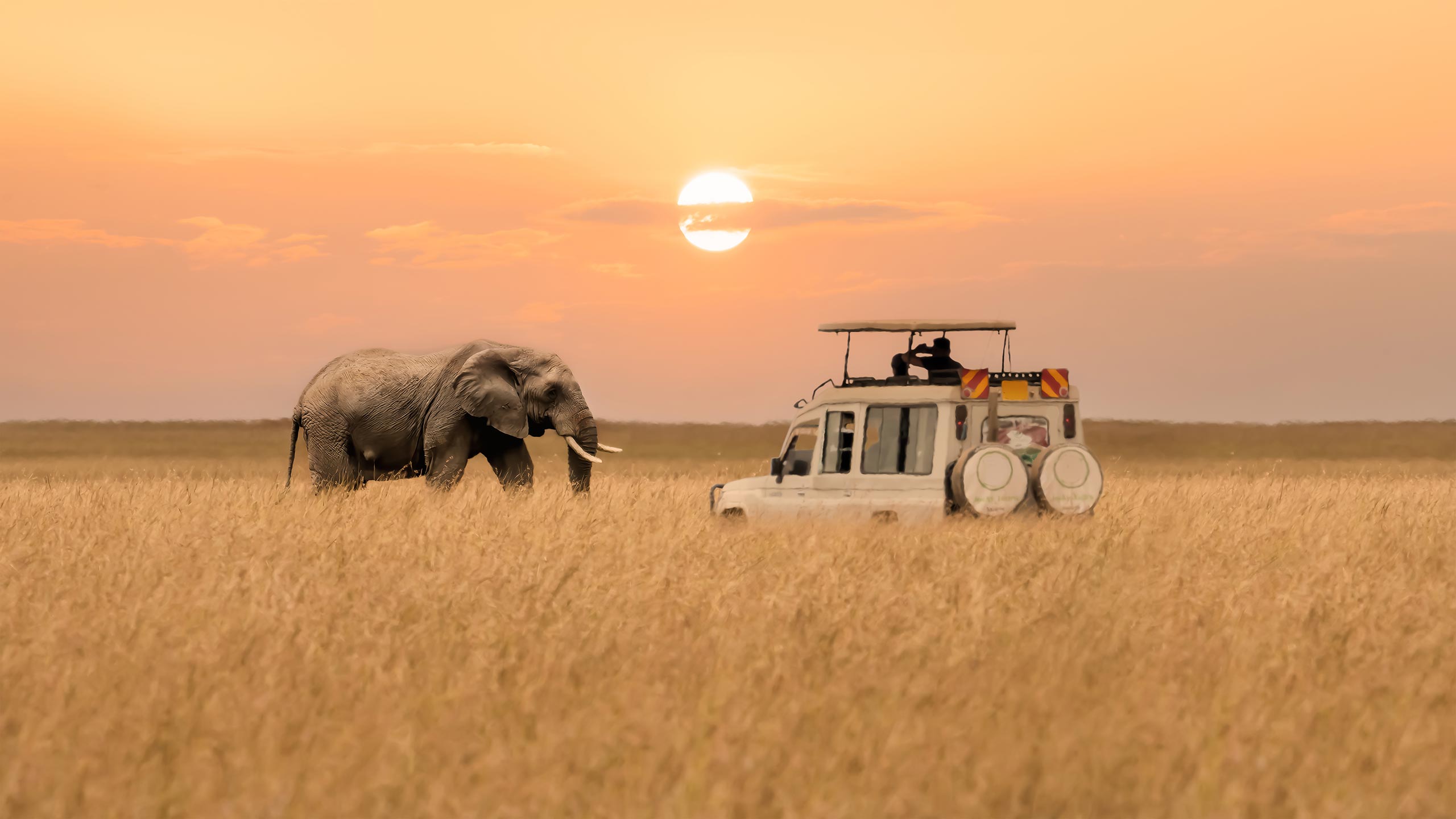 Africa Land Experiences