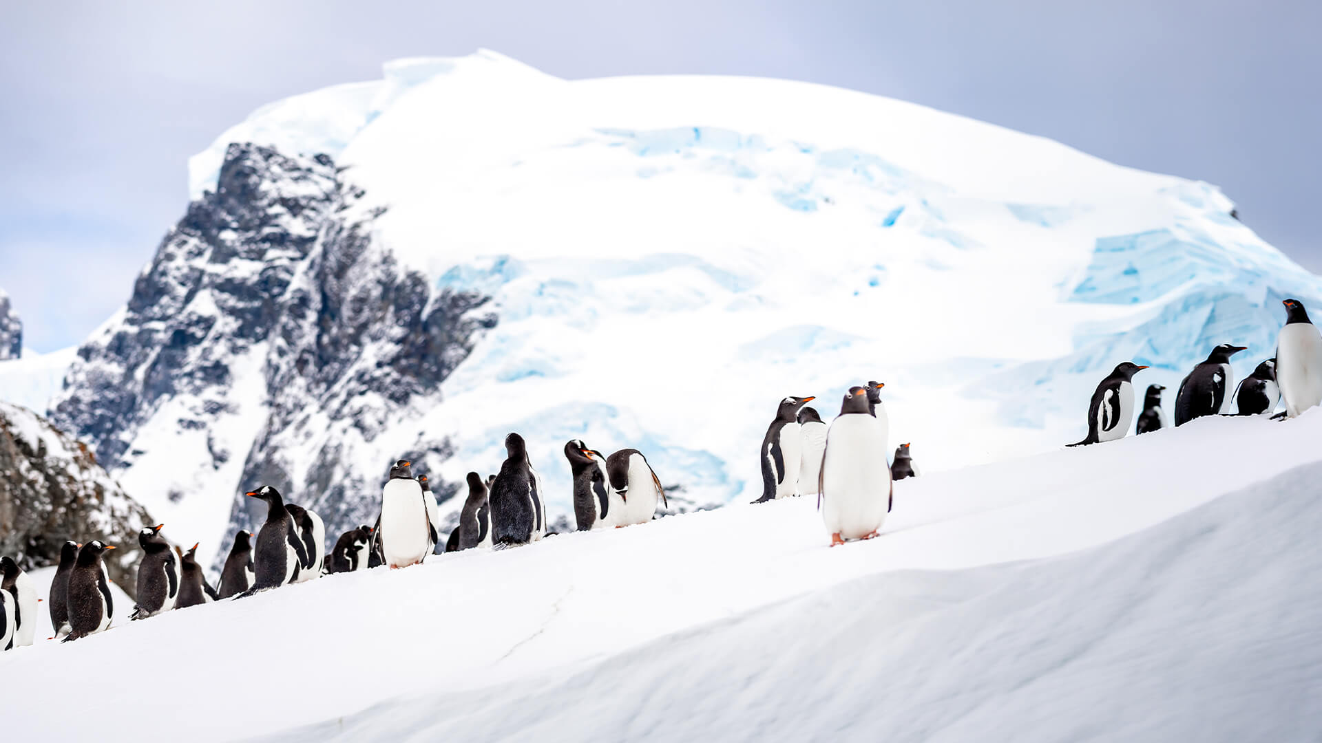9-Night Ushuaia Roundtrip 10.31.28