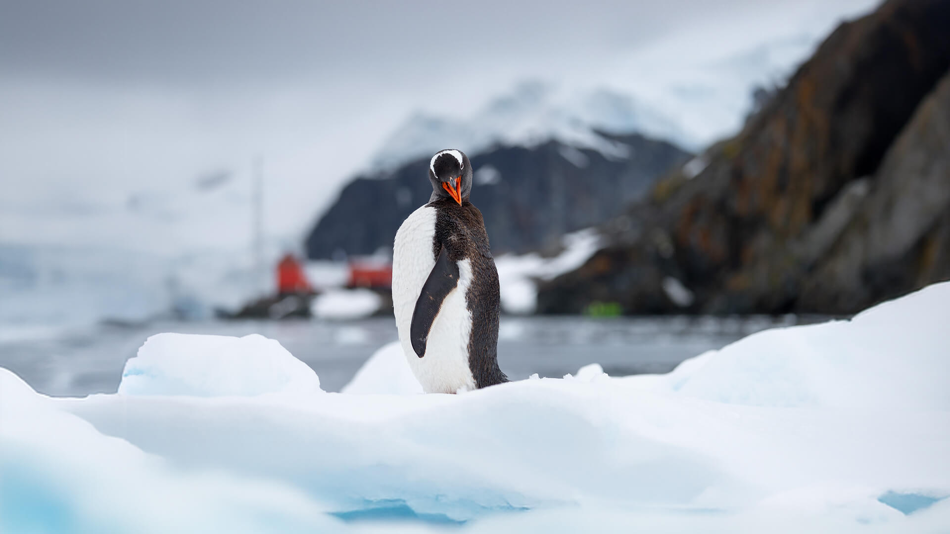 9-Night Ushuaia Roundtrip 11.18.28