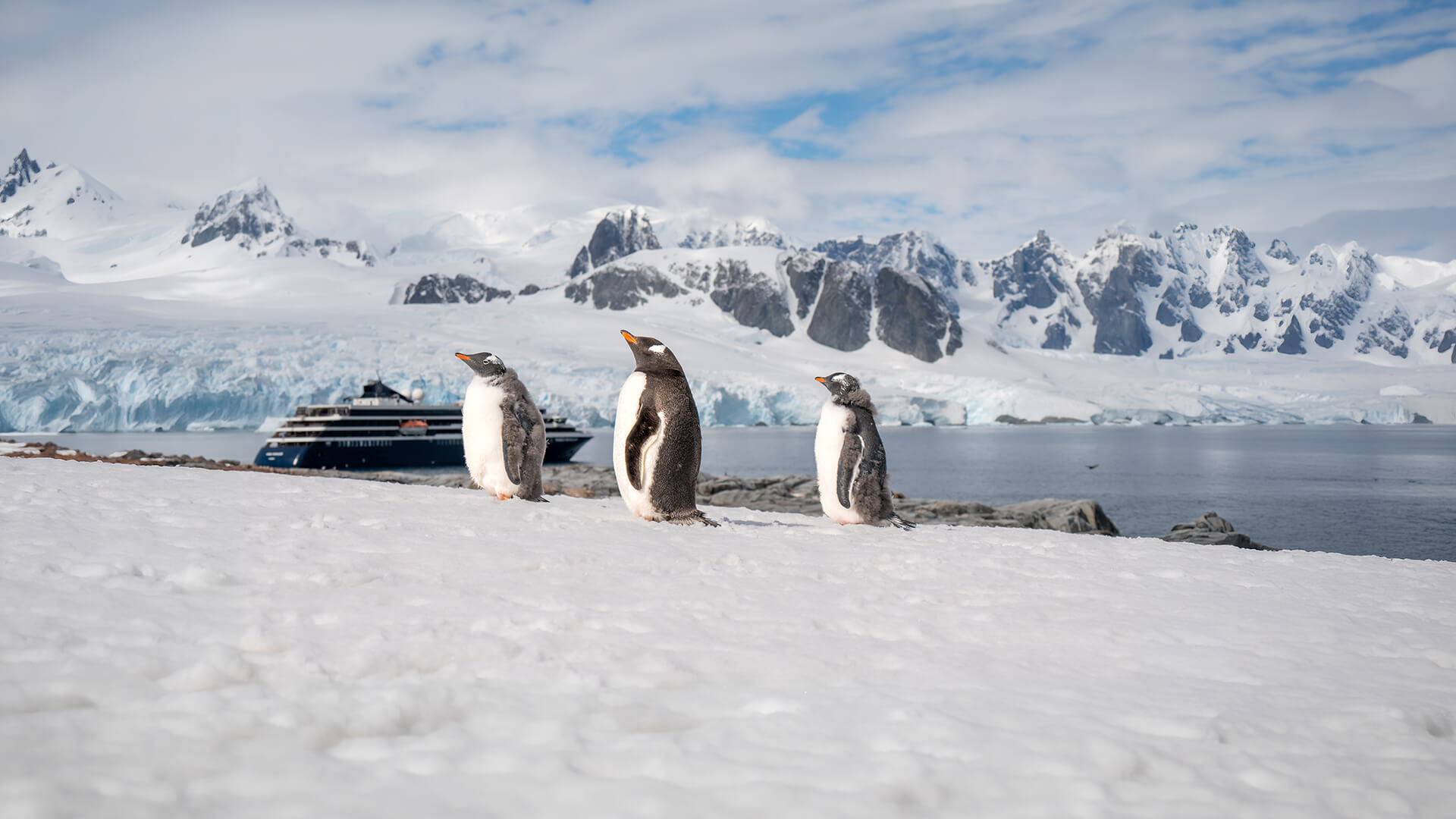 9-Night Ushuaia to King George Island 11.25.28