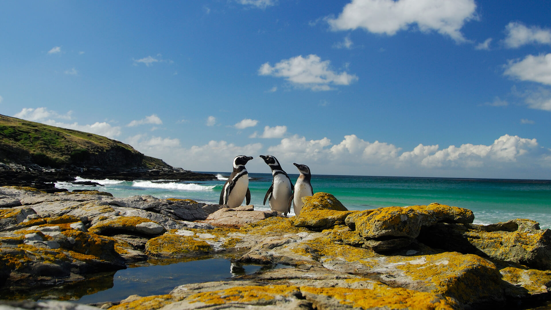18-Night Ushuaia Roundtrip 1.7.29