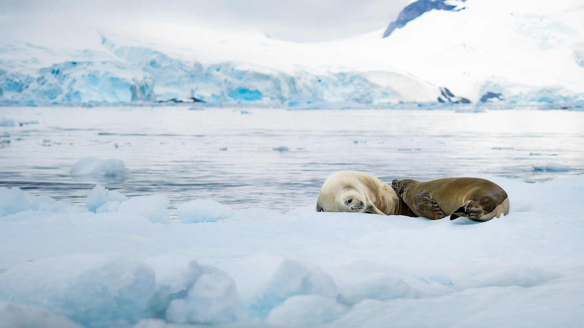 9-Night Ushuaia Roundtrip 2.5.29