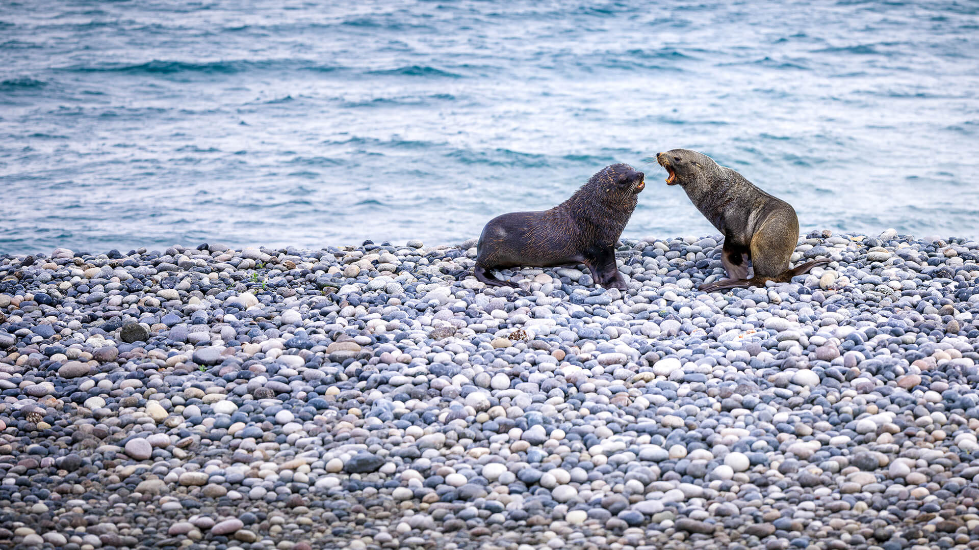 9-Night Ushuaia Roundtrip 2.23.29