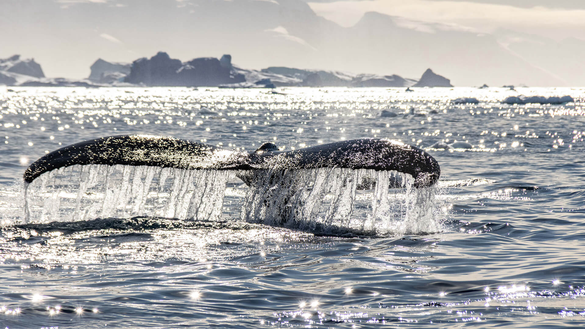 9-Night Ushuaia Roundtrip 3.3.29