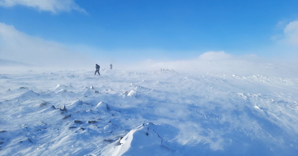 What Does a Polar Expedition Leader Do?